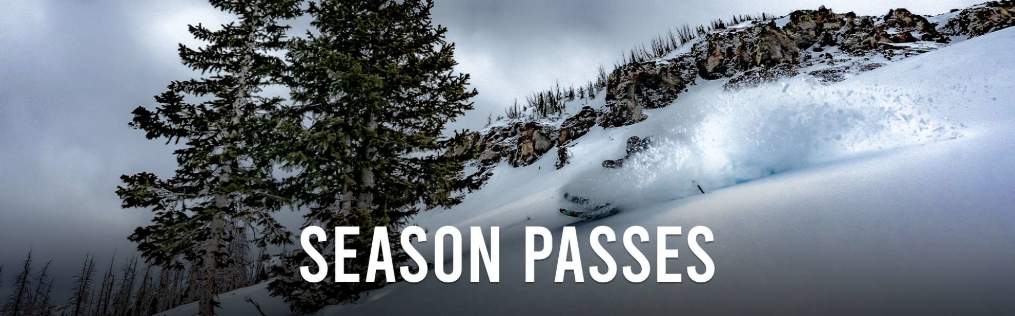Picture of Test - Season Pass