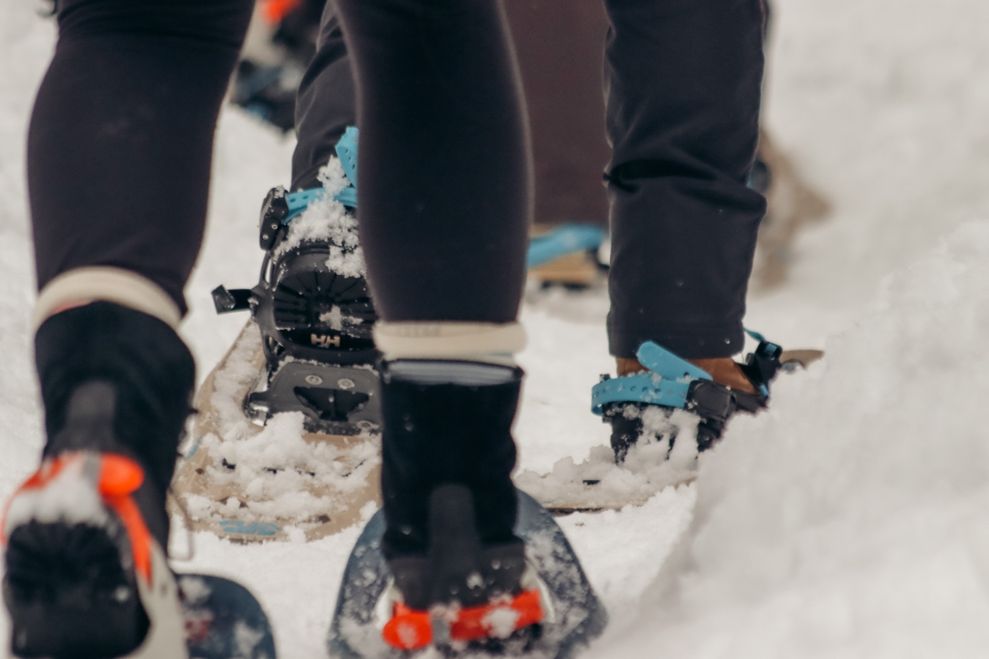 Cypress Online StoreSnowshoe Passes